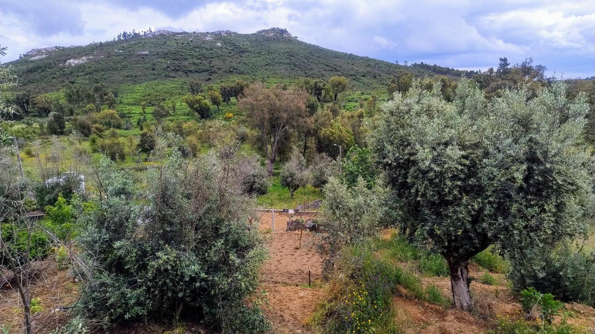 Alegria Rustica 2 Rustic Happiness Bed and Breakfast Envendos Εξωτερικό φωτογραφία
