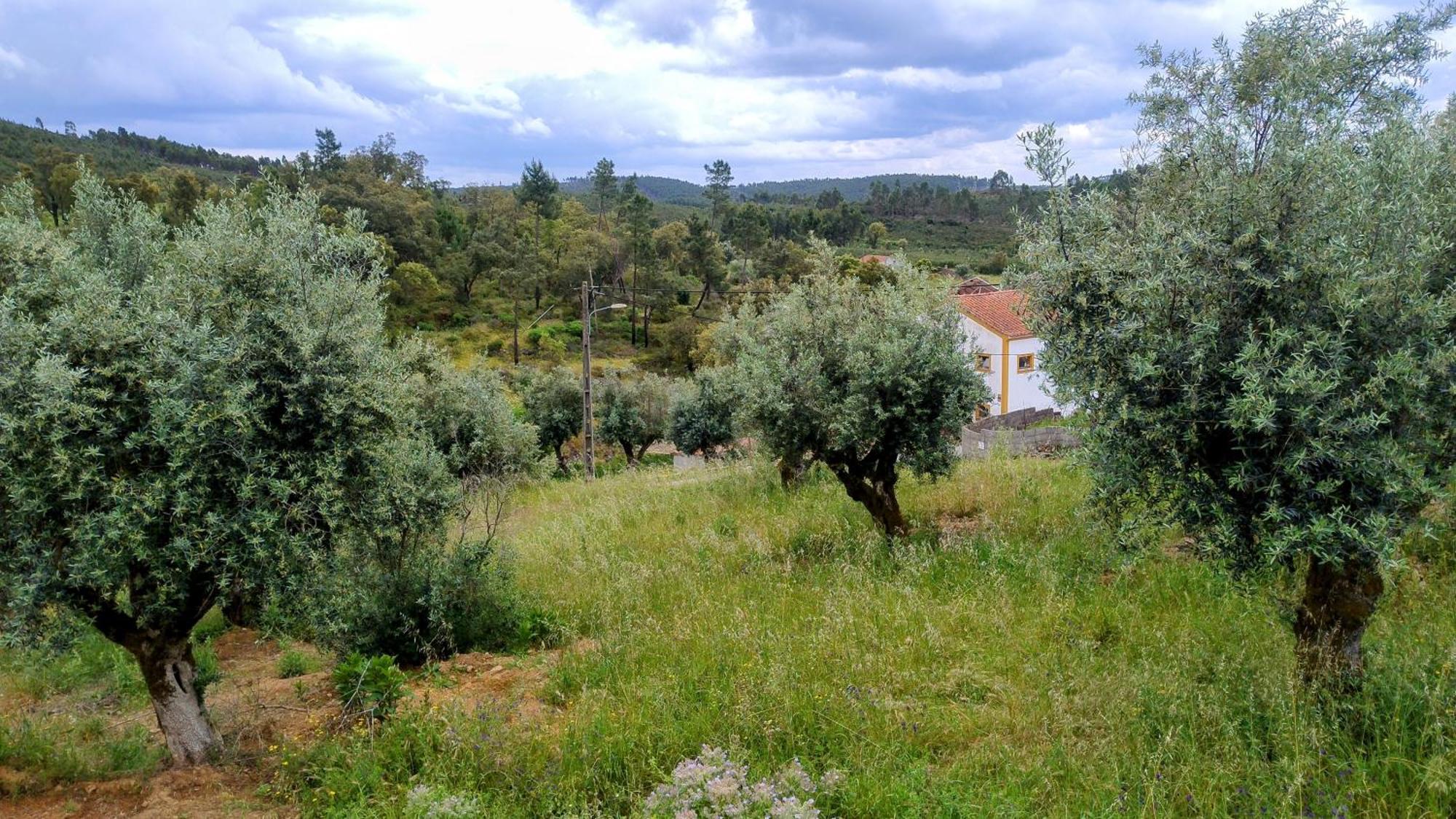 Alegria Rustica 2 Rustic Happiness Bed and Breakfast Envendos Εξωτερικό φωτογραφία