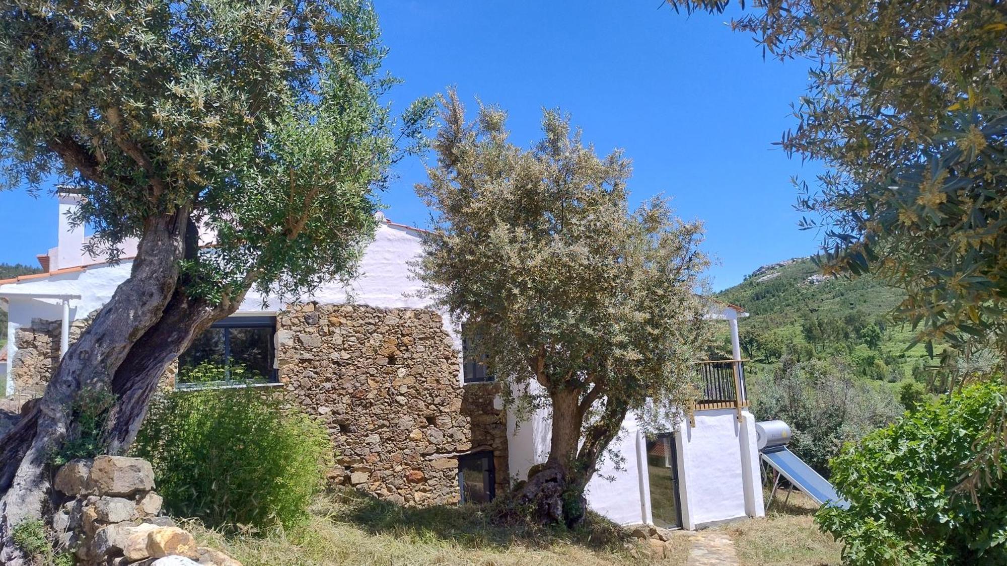 Alegria Rustica 2 Rustic Happiness Bed and Breakfast Envendos Εξωτερικό φωτογραφία